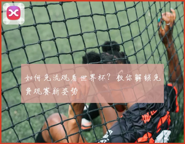 如何免流观看世界杯?教你解锁免费观赛新姿势