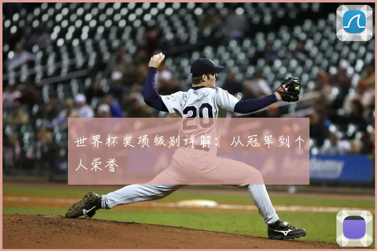世界杯奖项级别详解：从冠军到个人荣誉