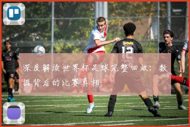 深度解读世界杯足球完整回放：数据背后的比赛真相