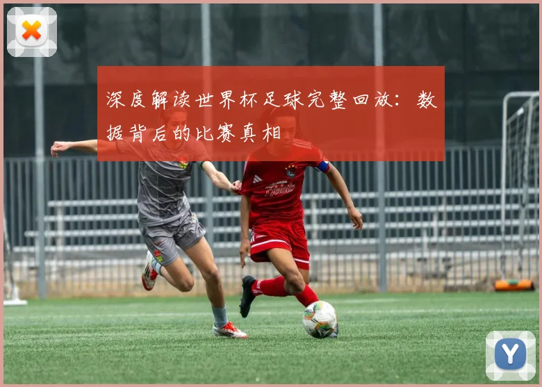 深度解读世界杯足球完整回放：数据背后的比赛真相