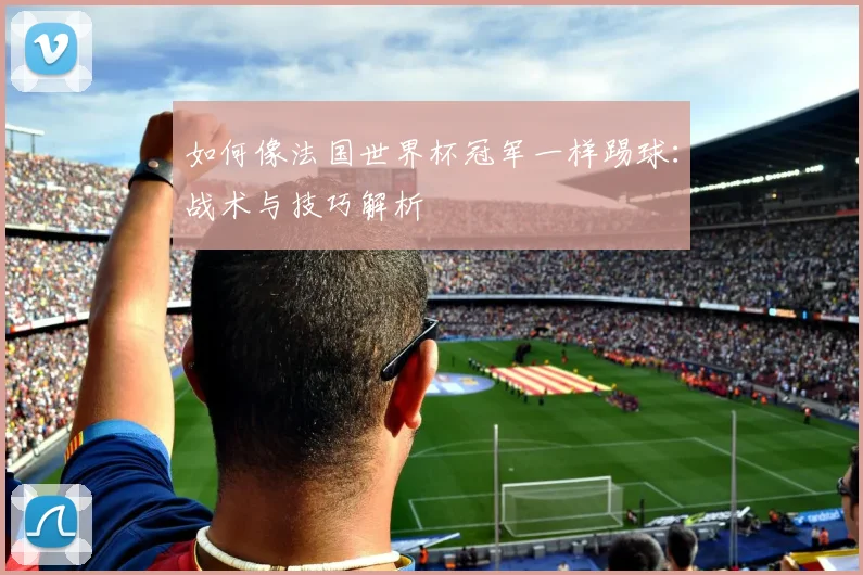 如何像法国世界杯冠军一样踢球:战术与技巧解析