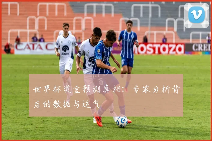世界杯奖金预测真相：专家分析背后的数据与运气