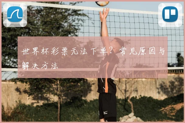 世界杯彩票无法下单?常见原因与解决方法