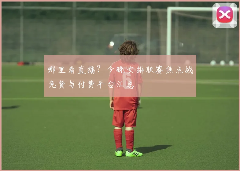 哪里看直播？今晚女排联赛焦点战免费与付费平台汇总