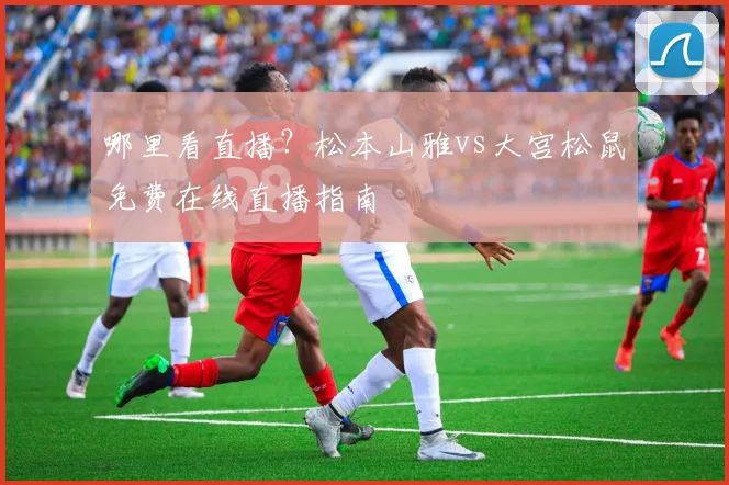 哪里看直播？松本山雅vs大宫松鼠免费在线直播指南
