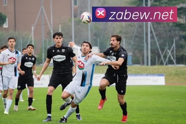 leyu乐涛官网地址平台生态图